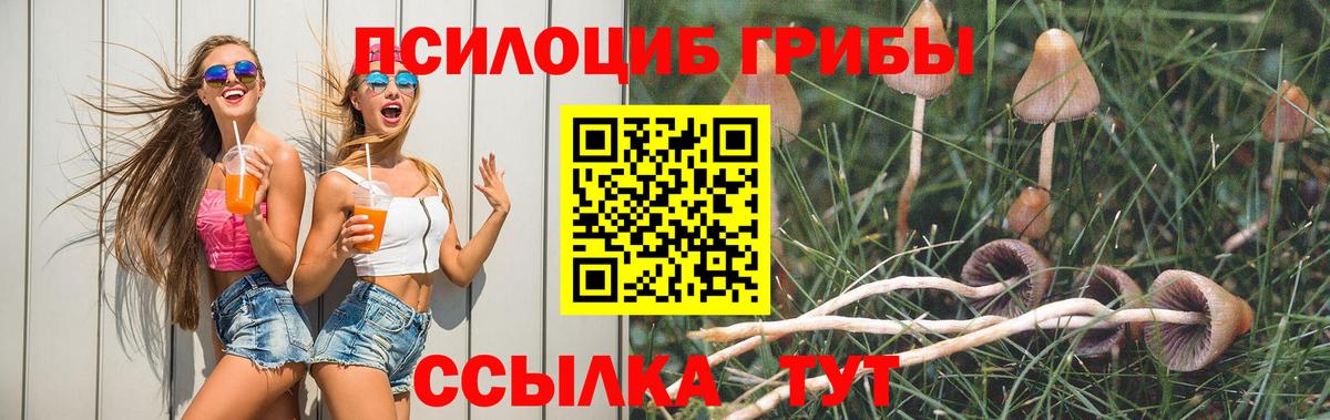 APVP Волгоград