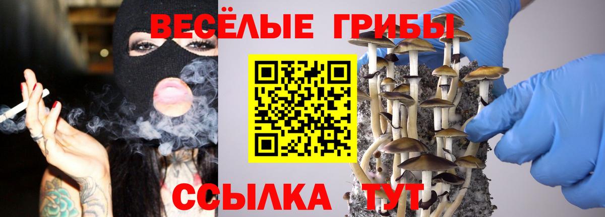 Галлюциногенные грибы Magic Shrooms  Вход с VPN  Волгоград 