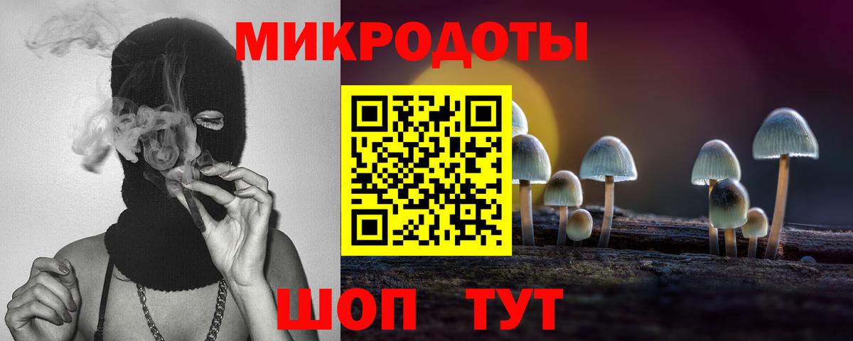 Псилоцибиновые грибы прущие грибы Волгоград